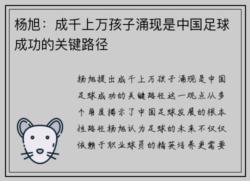 杨旭:成千上万孩子涌现是中国足球成功的关键路径 杨旭:成千上万孩子涌现是中国足球成功的关键路径